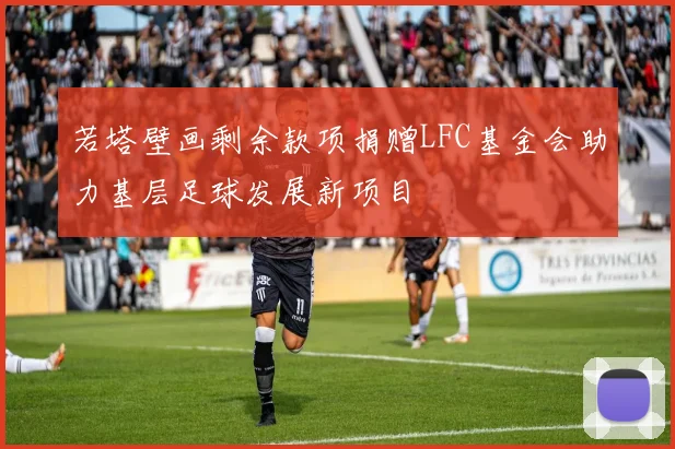 若塔壁画剩余款项捐赠LFC基金会助力基层足球发展新项目